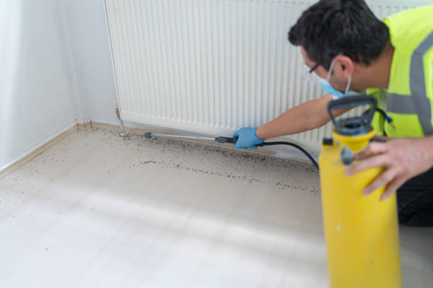 Flea Control Services in Big Pine Key, FL